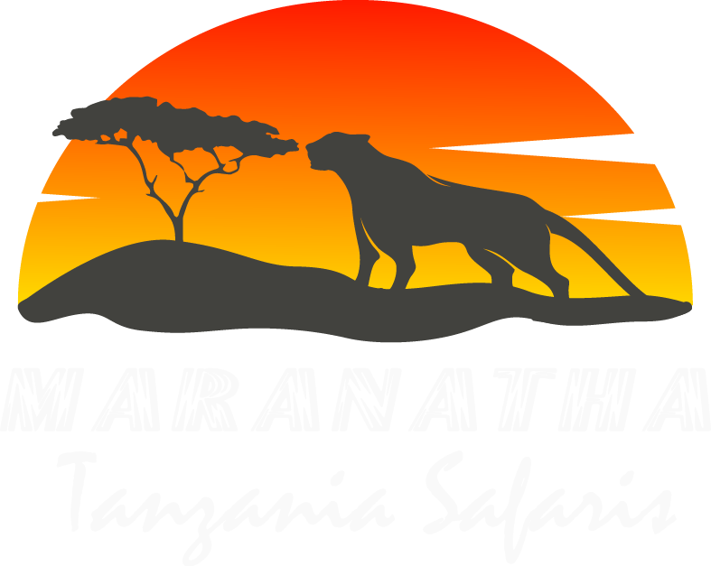 Maranatha Tanzania Safaris